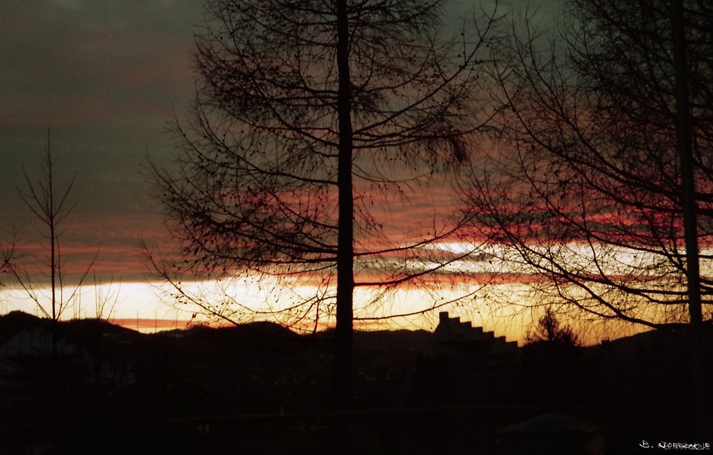 Untitled-Scanned-022