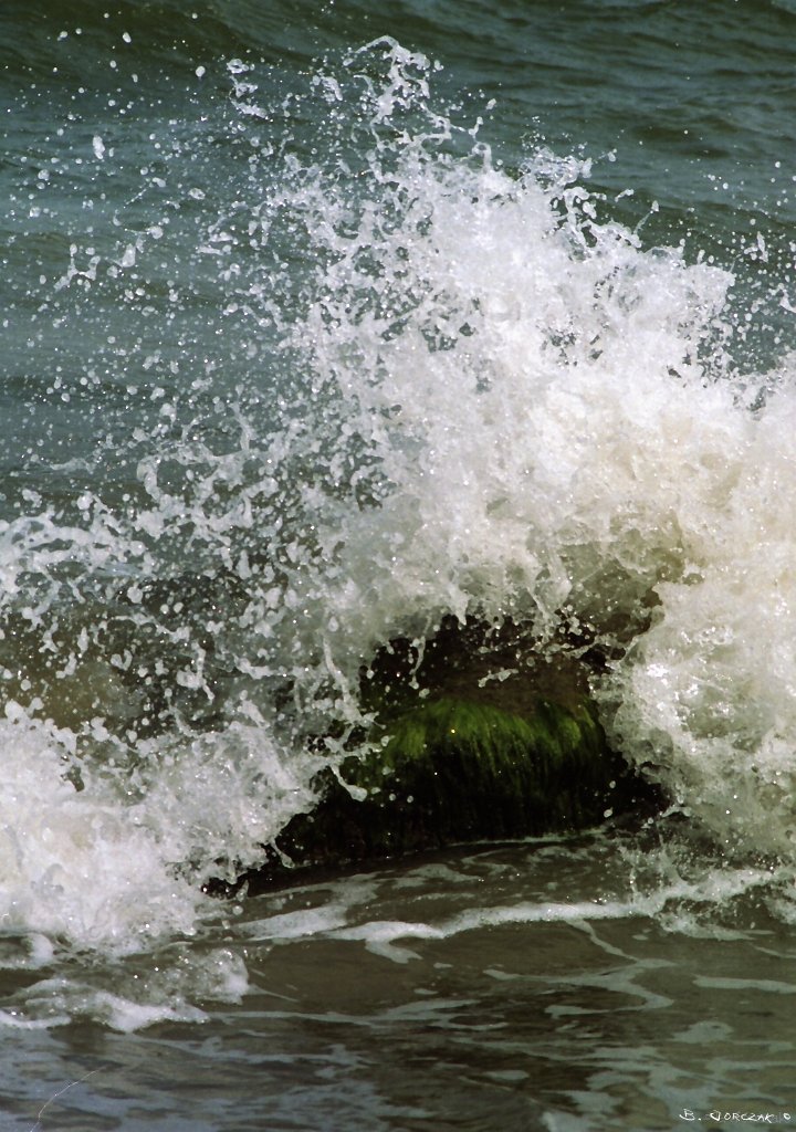 Untitled-Scanned-179